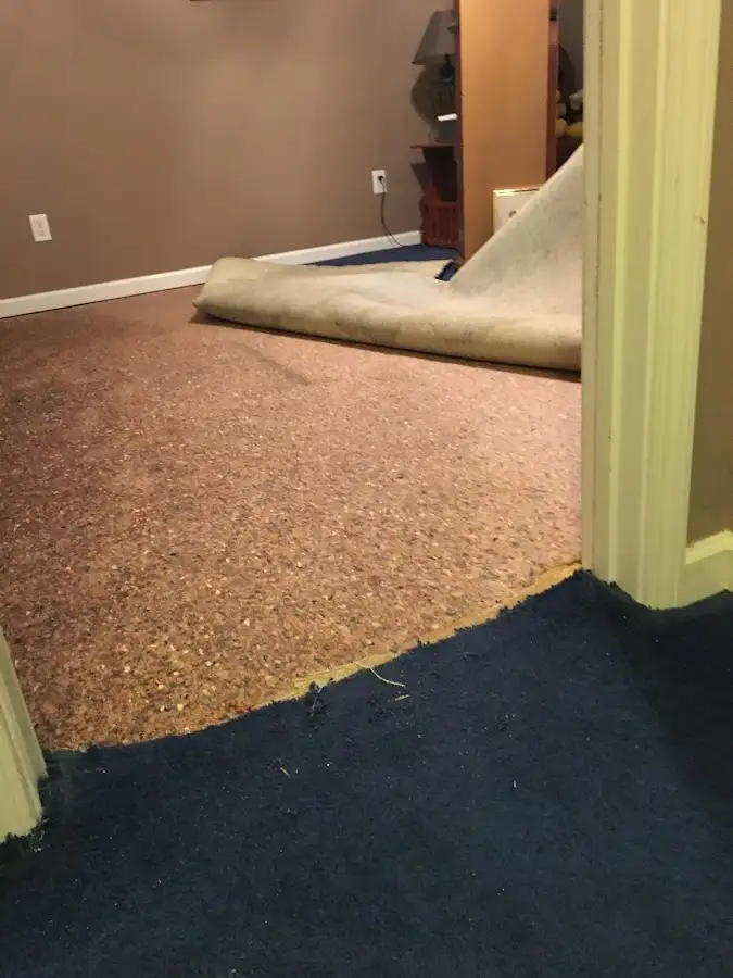Carpet pad removal revealing water damage during Water Mitigation Services in Cortland
