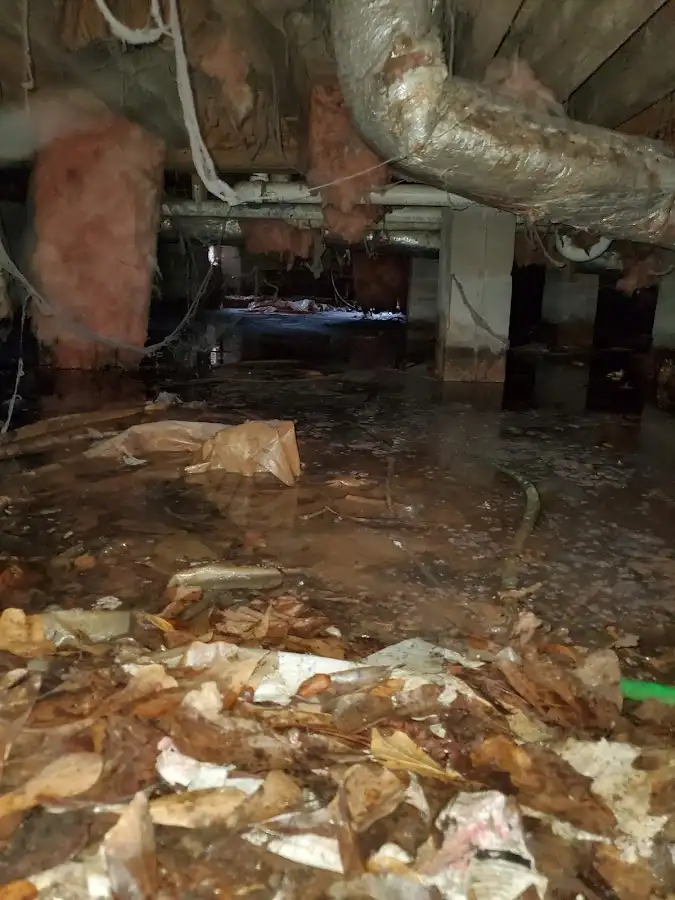 Crawl space flood assessment for Leak Detection & Repair in Cortland