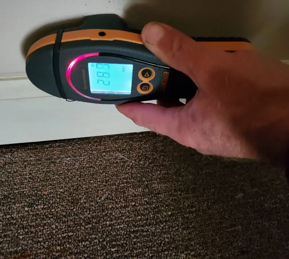Moisture detection at baseboard during Sewage Cleanup & Sanitation in Cortland